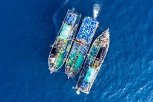 Kenya can derive huge benefits by creating a Fisheries Training Institute